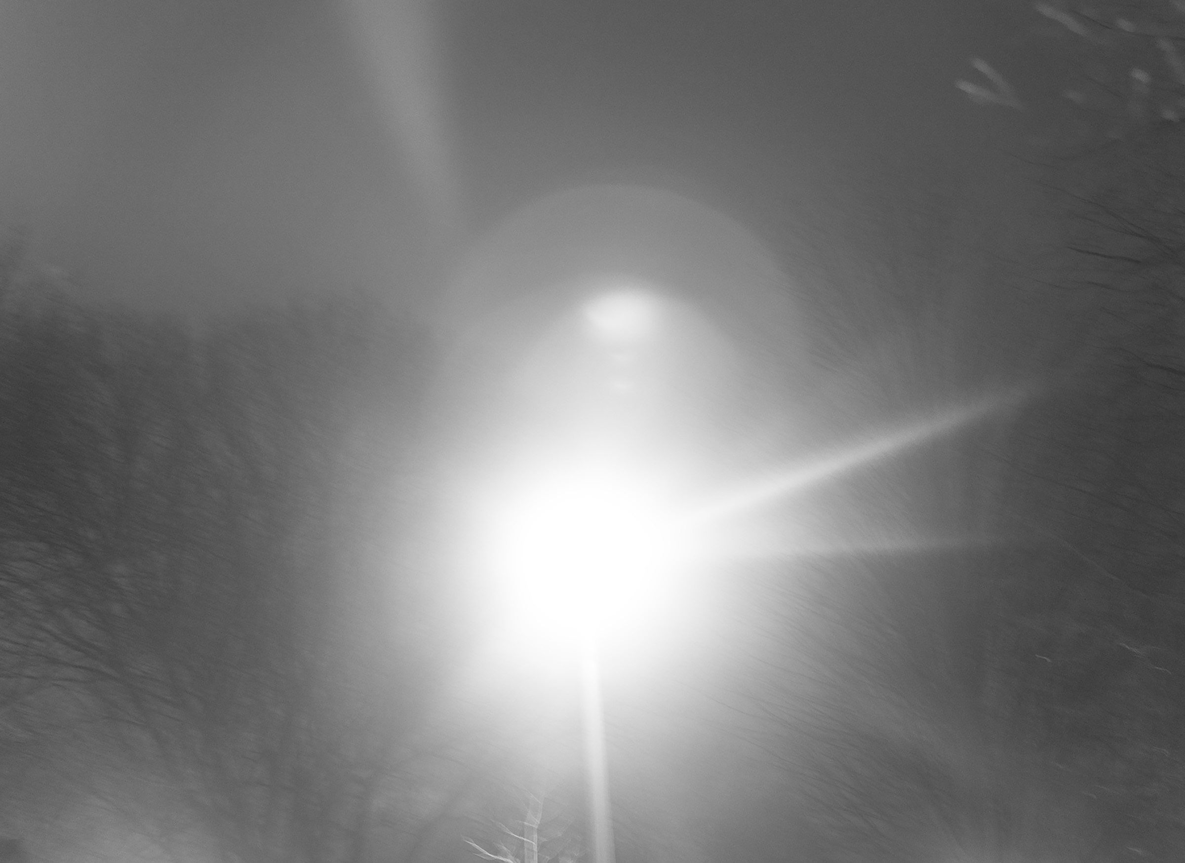 A black and white photo of a street lamp in front of some bare trees and a cloudy sky at night. The street lamp light is blown out creating a large oval of light in the middle of the photo.