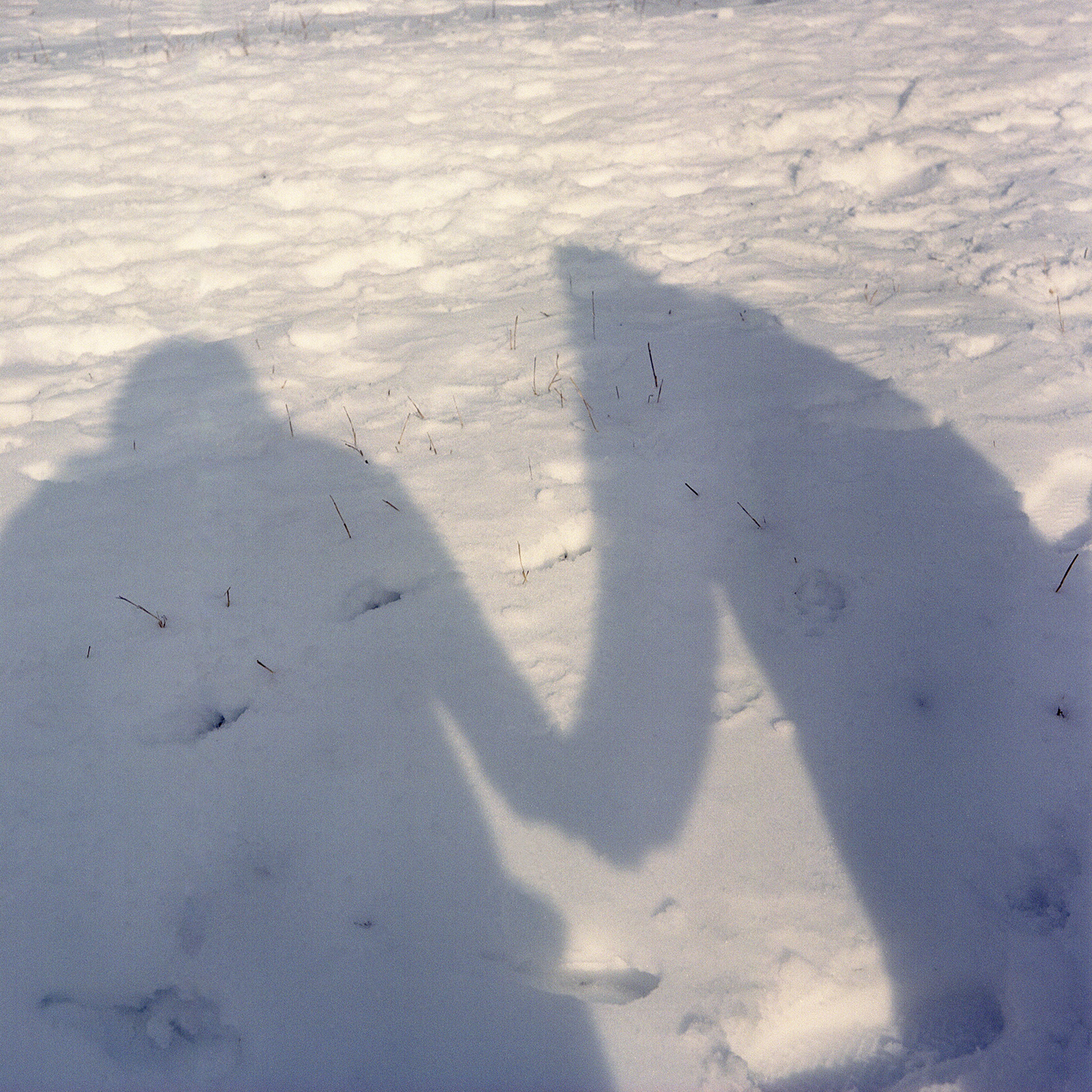 Mariah and Eden’s shadow against the snow covered ground. The shadows are holding hands.