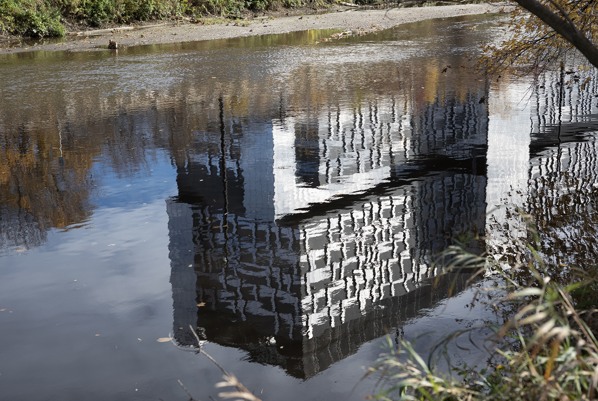 Don River: A water reflection of a modern building on the river with ripples. Plants and trees are also visible on the edges.