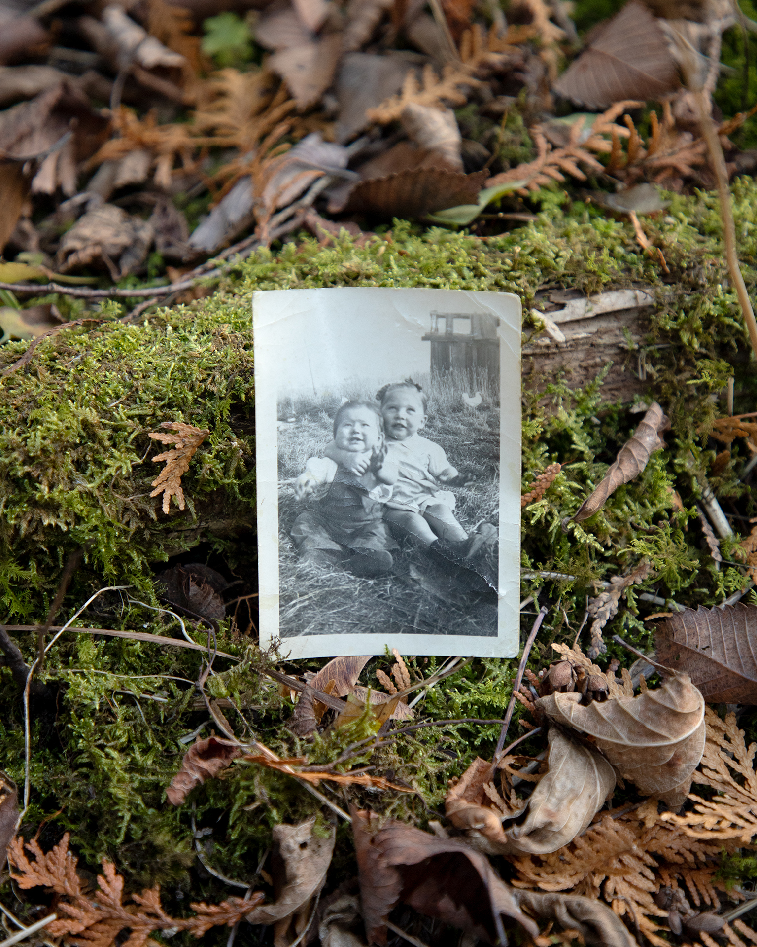 Nokomis and Rose: A colour image of a black and white archival print of the artist's grandmother and grandaunt as babies. They are both sitting in the grass, with one sister wrapping her arm around the shoulder of her younger sibling. The girl on the left is wearing dark overalls, a white shirt and boots, and the girl on the right is wearing a white dress and boots. A dilapidated wooden shack and a chicken can be seen in the top right hand corner. The archival image is placed in the center of the forest floor with a log covered in moss. There are dried fallen leaves and Cedar that has turned orange surrounding the image.
