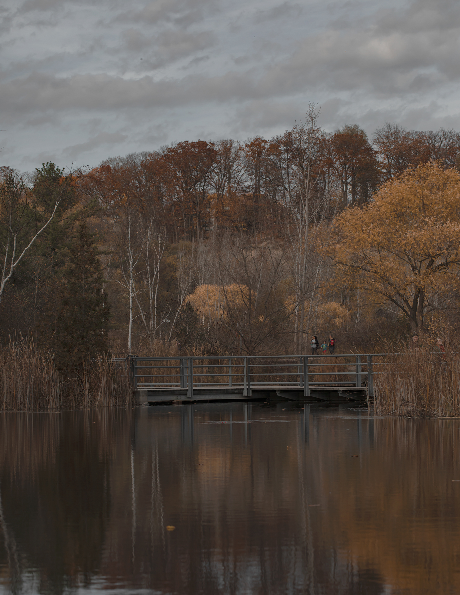 Natalie_Haas_2 - Natalie Haas This photo depicts a gloomy fall landscape. From the view across the river, a family of three can be seen crossing a bridge in a forest. They are surrounded by brown, orange and green trees.