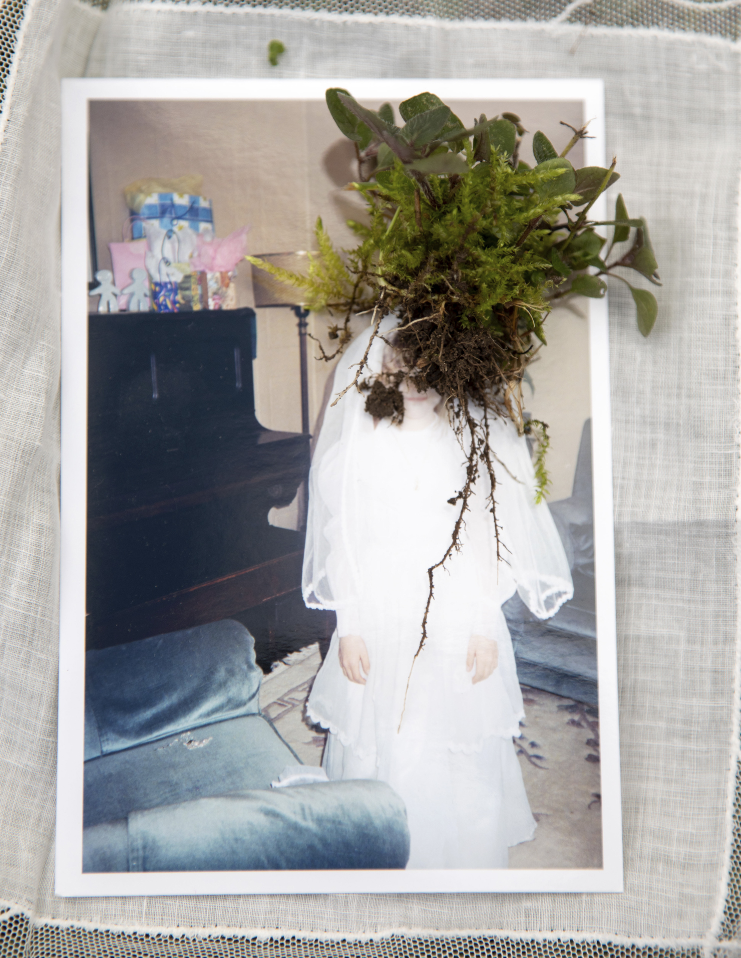 an image of a young girl in a communion dress sitting on top of a white lace doily. There is an uprooted weed placed on top of the image over the girl's face.