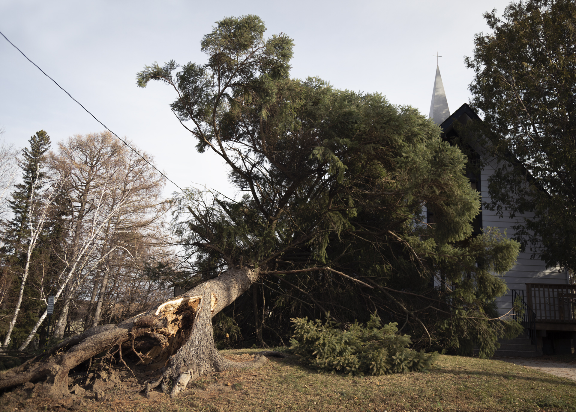 When a Tree Falls: A large pine tree fallen over on top of a church