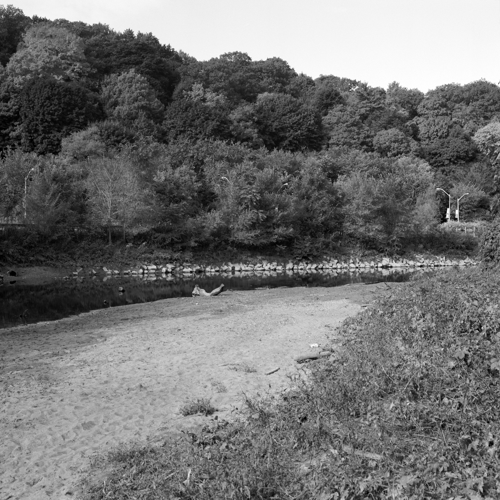Where The River Runs # 4: A square black and white photograph of a riverside embankment, with the river flowing through the middle of the frame. A roadway can be seen through the thin tree line as tall mature trees frame the background.