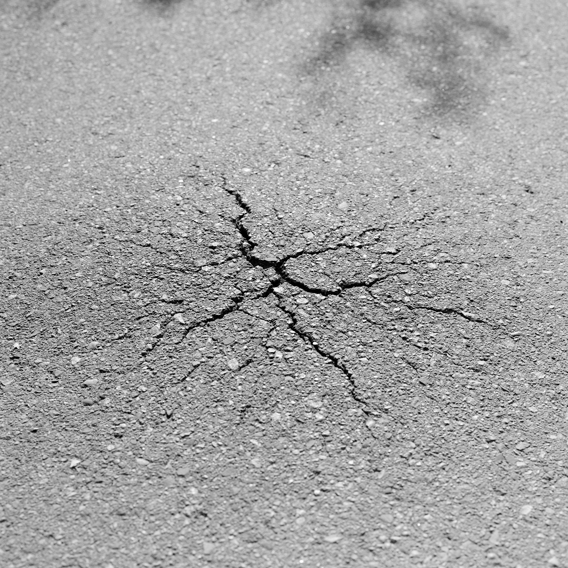 Where The River Runs # 7: A square black and white photograph of a web-like crack in the pavement. The shadow of a tree can be seen in the top right corner, hanging overhead.