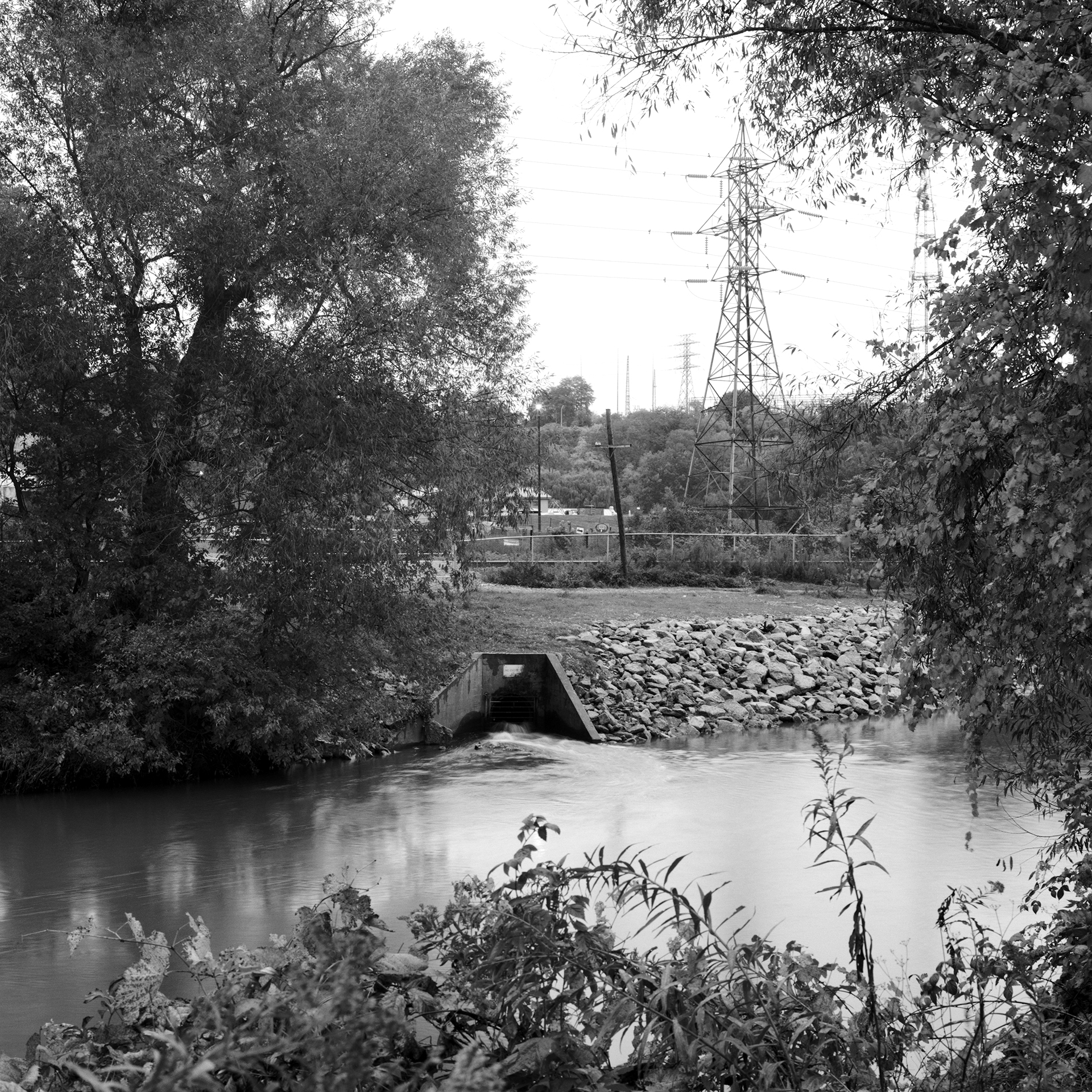 Where The River Runs # 8: A square black and white photograph from the edge of a river. Foliage lines the bottom of the frame as water flows behind it. Tall trees line the sides of the image as buildings, and power lines can be seen behind the constructed embankment and sewer in the middle of the image.