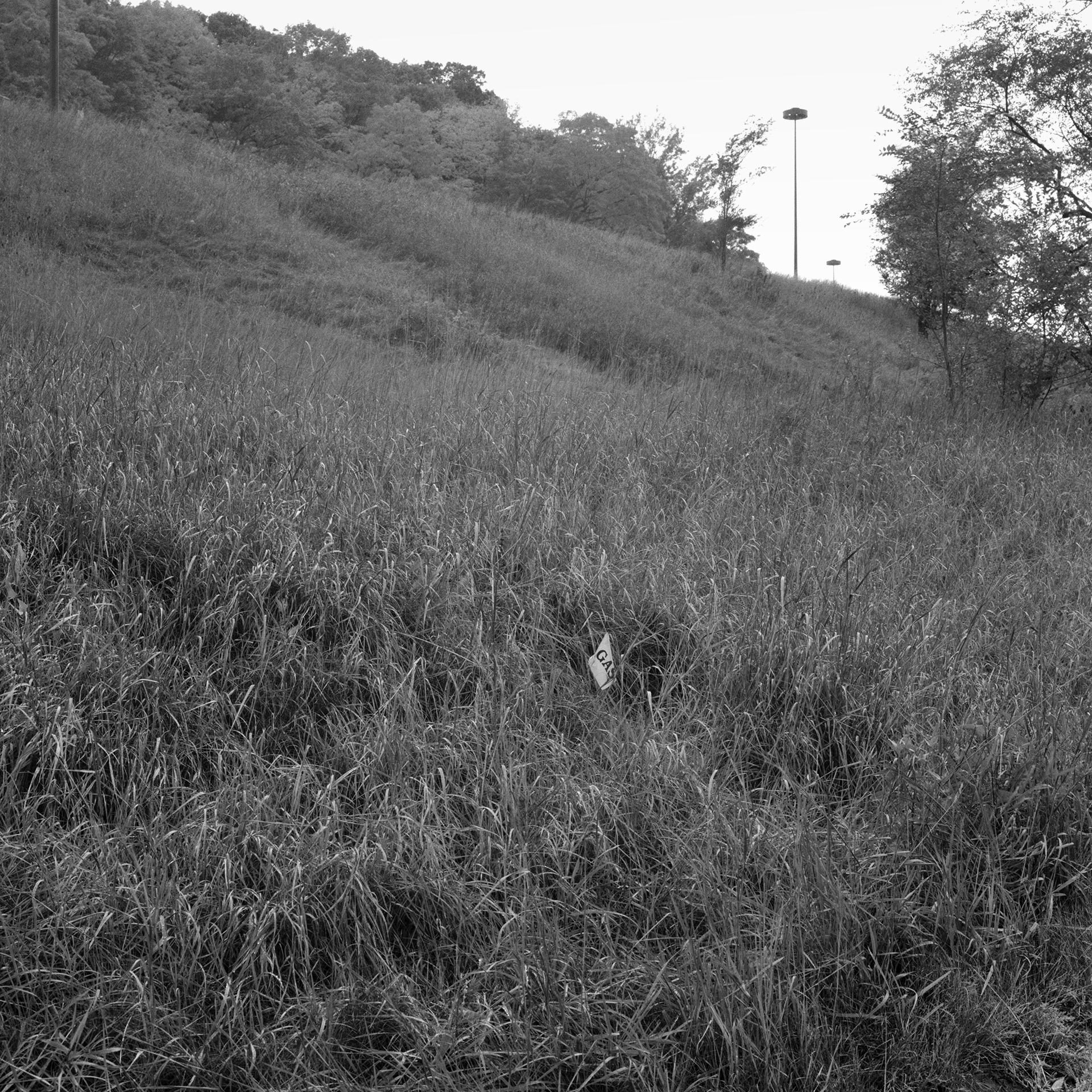 Where The River Runs # 9: A square black and white photograph of a gas line flag placed on a hillside of tall grass. The hillside takes up most of the frame, stretching up to the roadway and light fixtures running along the top of the image.