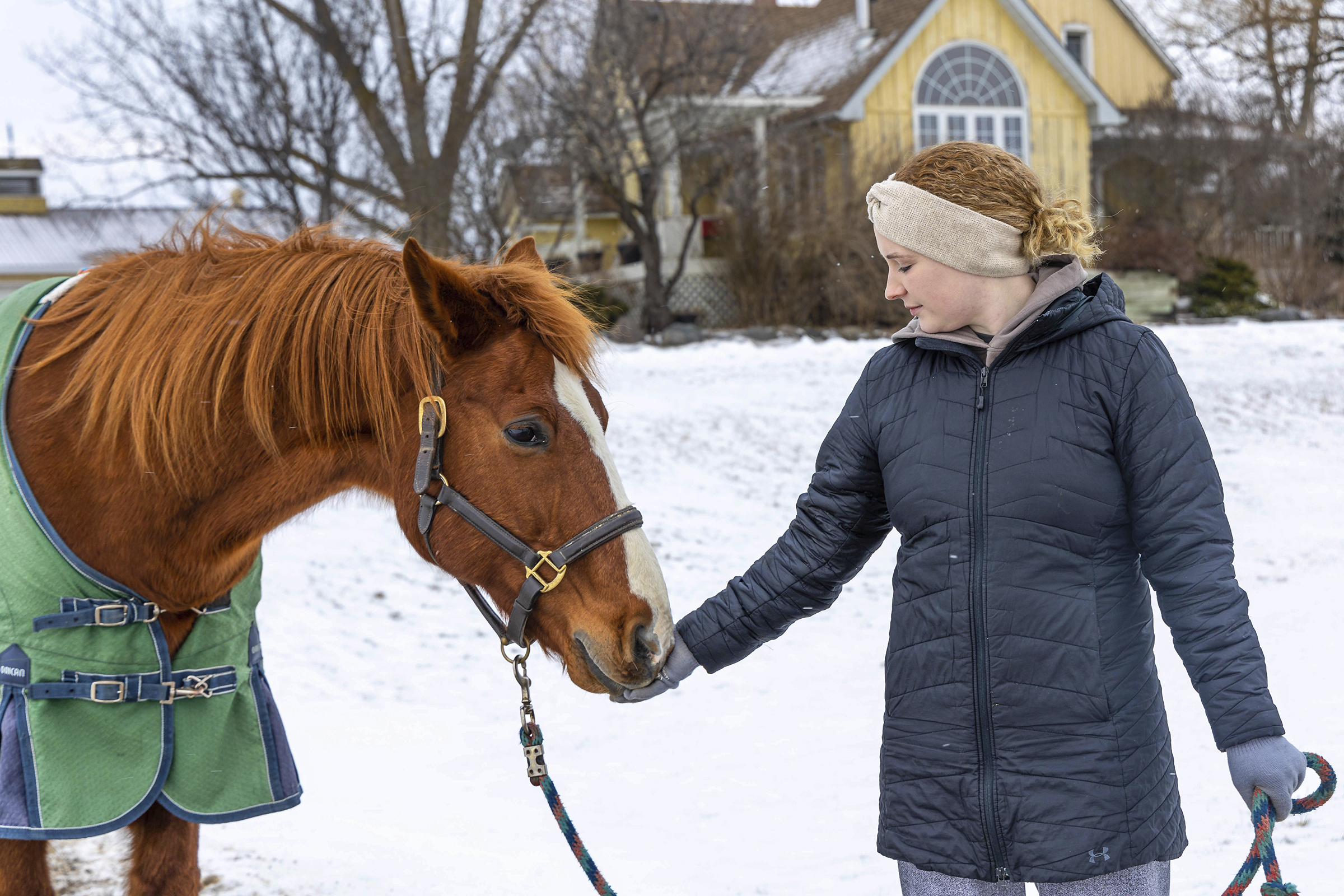 A woman, Laura, at horse therapy tenderly touching a orange/brown coloured horse's snout in the winter on a farm.