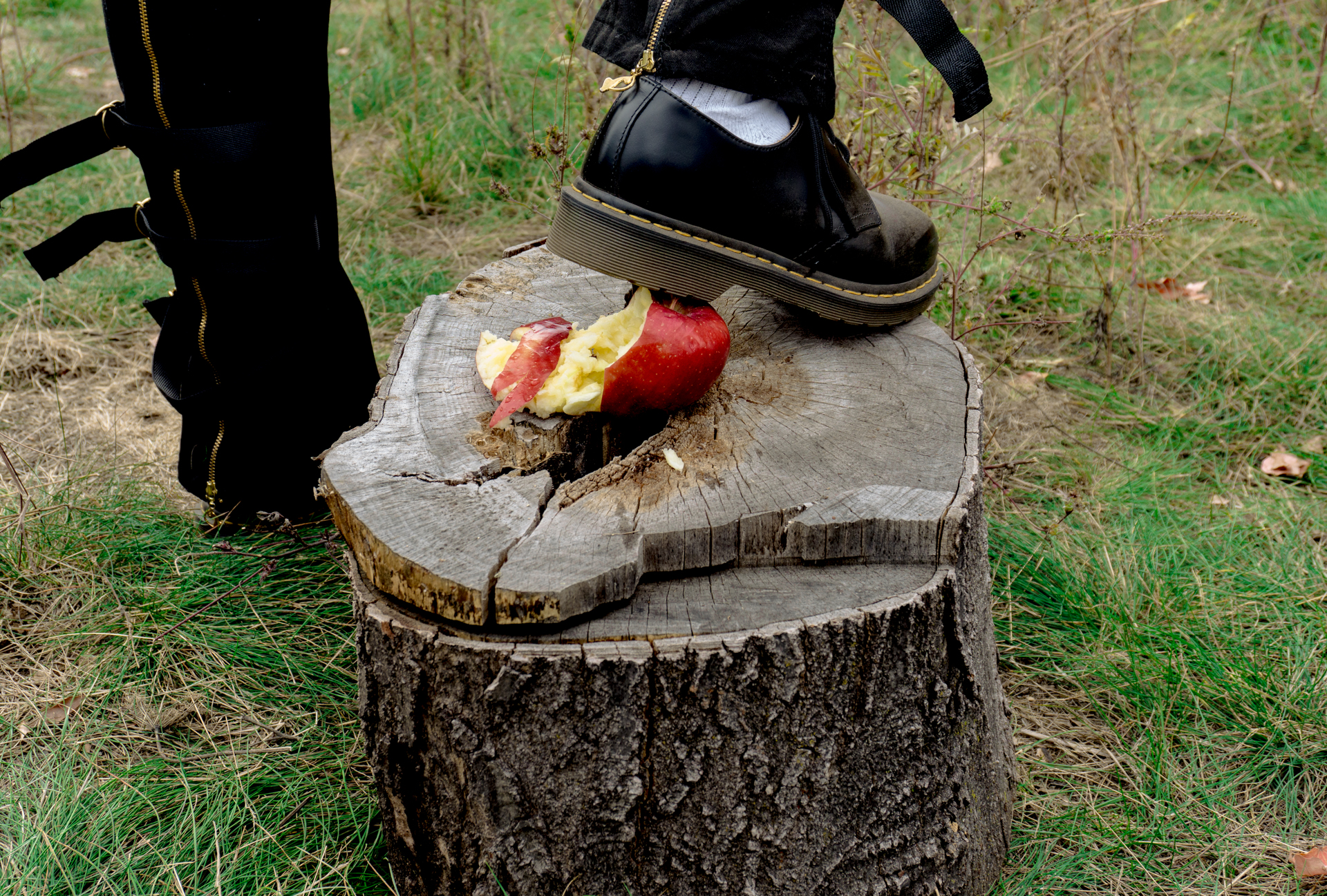 Crushed my Heart (Last Supper): A foot wearing a black leather shoe and a white sock steps off a freshly stepped on apple sitting on a tree stump. Green grass surrounds the stump