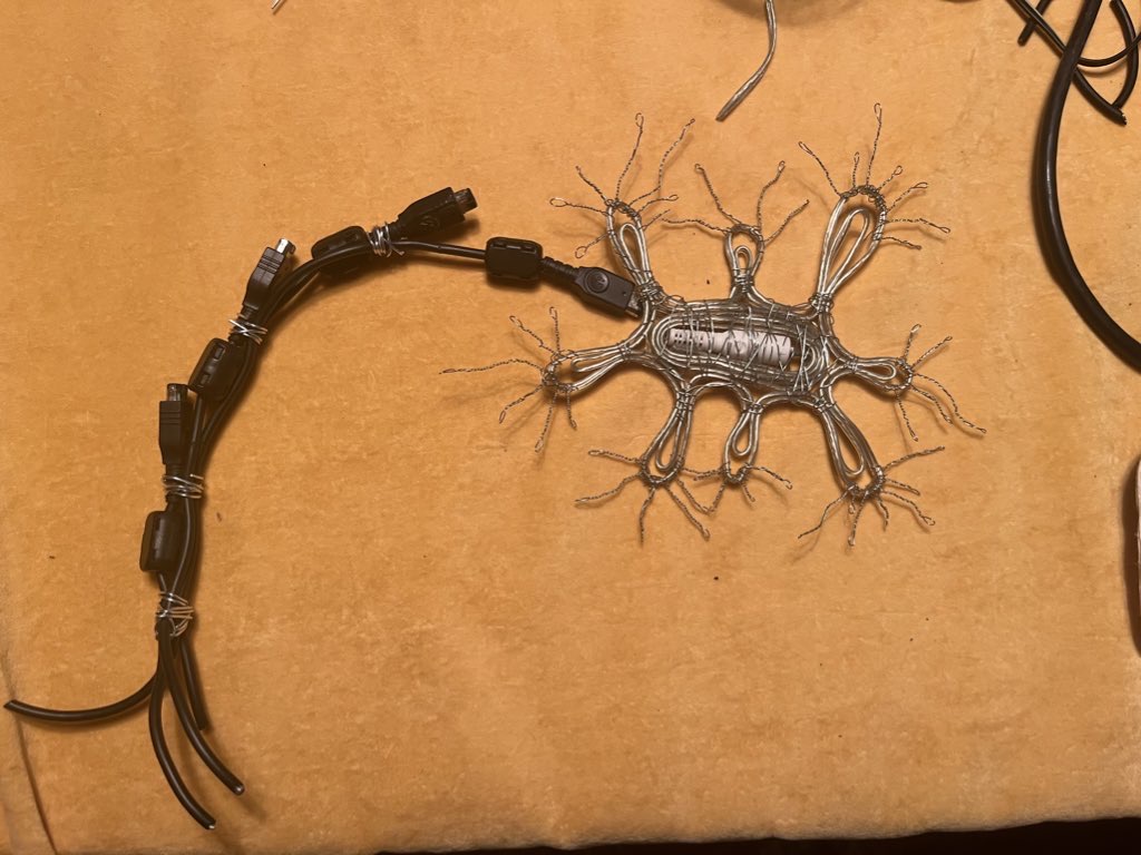 : I made a neuron, which is a brain cell, out of scrap wires. To be more specific, this is made out of telephone wire, thin aluminum wire and USB plugs.
