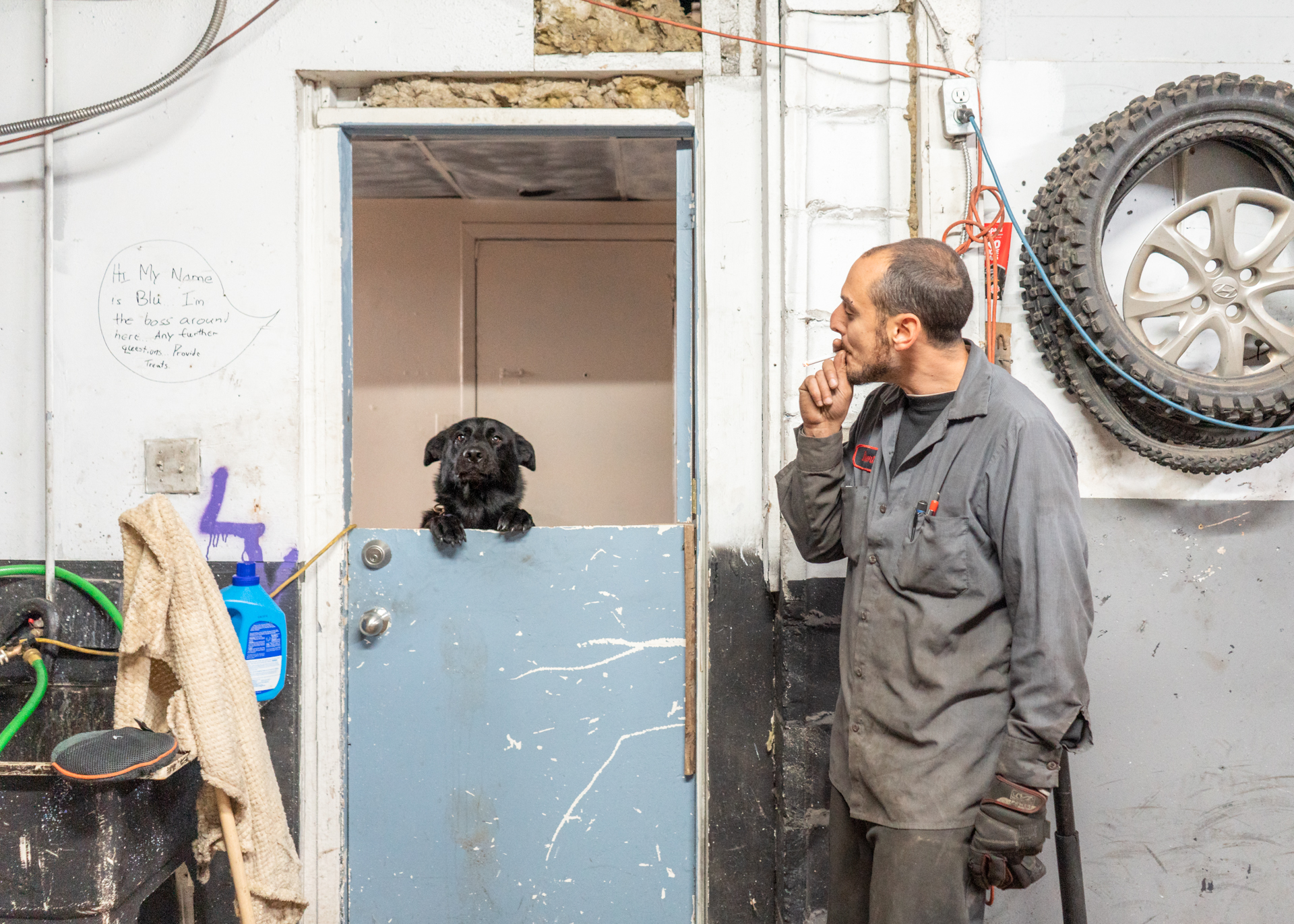 Blu: A mechanic watches as his black dog jumps up to poke its head above a ledge.