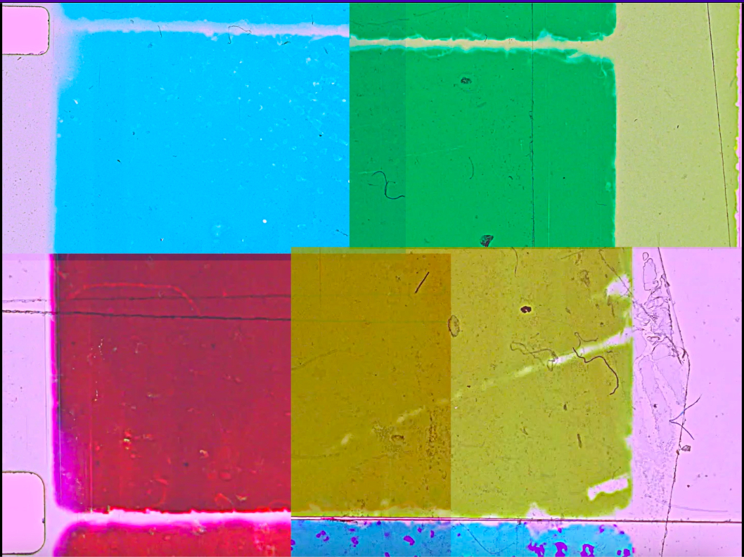 Four vibrant squares divide the screen in equal quarters. Each square is a different colour. In the left margin, two sixteen millimetre film perforations are visible. To the right of the screen, a clear section of film base can be seen. The four individual squares create a fragmented sixteen millimetre film frame when viewed as a whole.