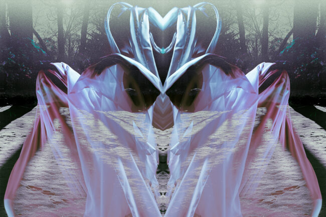 A semi-transparent image of a woman with translucent fabric draped over her is overlaid on top of a background landscape image. The top half of the landscape is of trees and branches. The bottom of the landscape is snow with the shadows of the tree's over top. The image is mirrored horizontally, with the subject appearing side by side and facing away from the reflection. The overall colour palette is cool, with pinks, purples and dark blues.