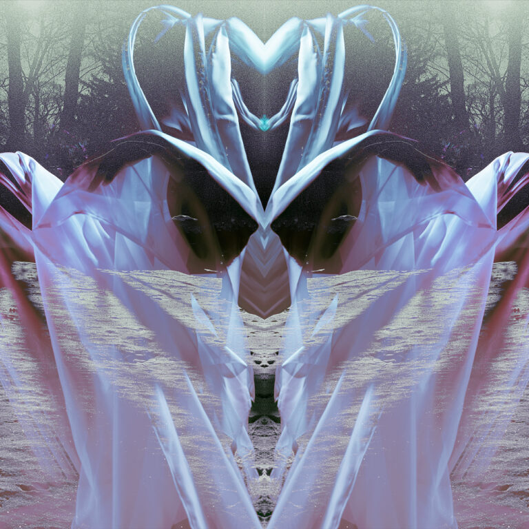 A semi-transparent image of a woman with translucent fabric draped over her is overlaid on top of a background landscape image. The top half of the landscape is of trees and branches. The bottom of the landscape is snow with the shadows of the tree's over top. The image is mirrored horizontally, with the subject appearing side by side and facing away from the reflection. The overall colour palette is cool, with pinks, purples and dark blues.