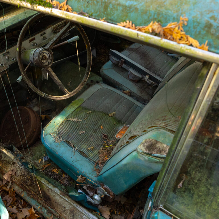 An above-angle view of the steering wheel and driver's seat shot through the driver's door. The car's once vibrant teal colour still pops through underneath a growth of moss, grime, rust and decay that now covers it.
