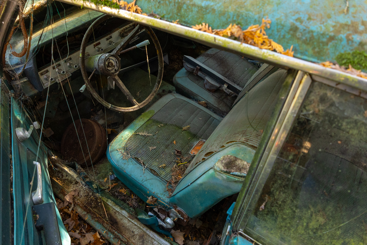 An above-angle view of the steering wheel and driver's seat shot through the driver's door. The car's once vibrant teal colour still pops through underneath a growth of moss, grime, rust and decay that now covers it.