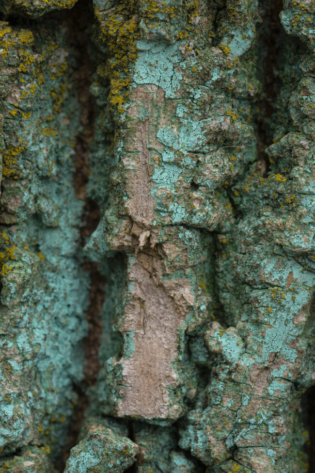 Looking down at an alien plateau.