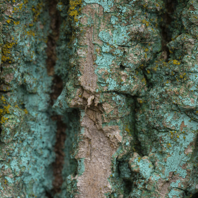 Looking down at an alien plateau.