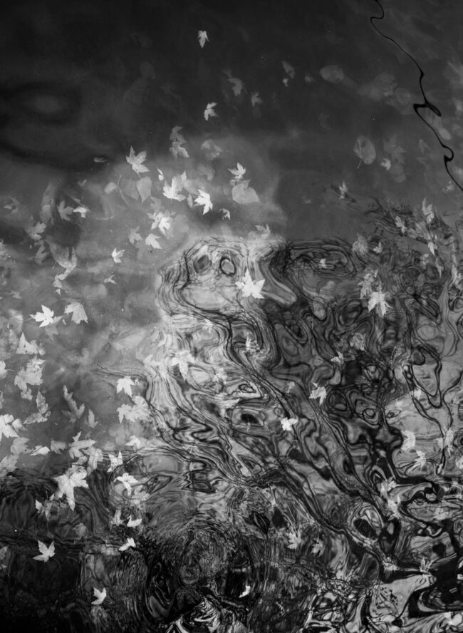 An image of the reflection of trees on water with slight waves, distorting the image.