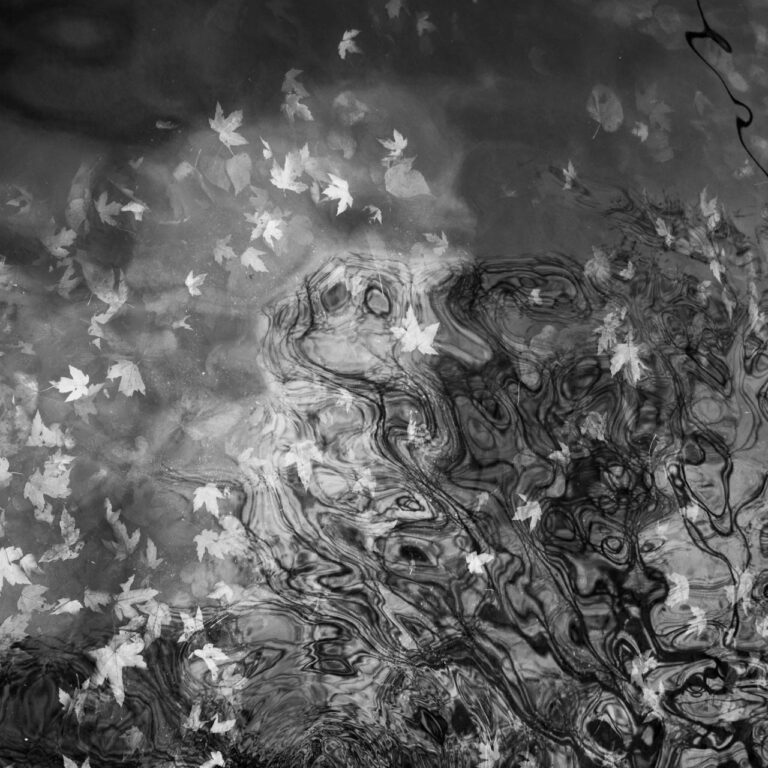 An image of the reflection of trees on water with slight waves, distorting the image.