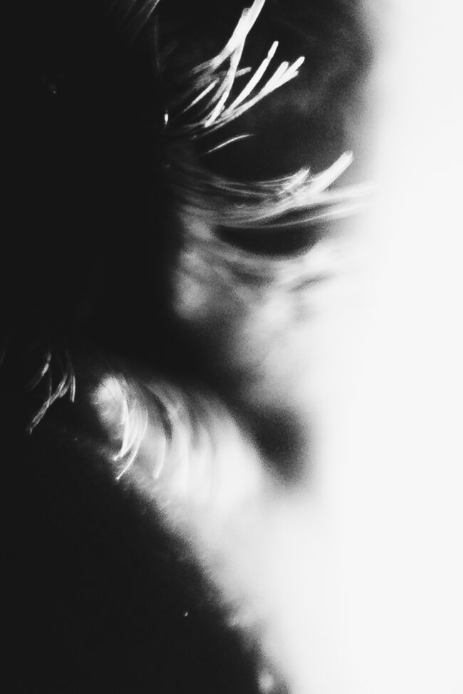 Extreme close up high contrast black and white photograph of eyelashes.