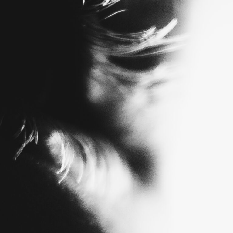 Extreme close up high contrast black and white photograph of eyelashes.